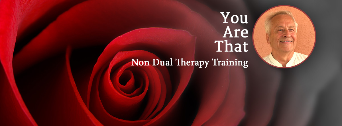 New Non-Dual therapist training